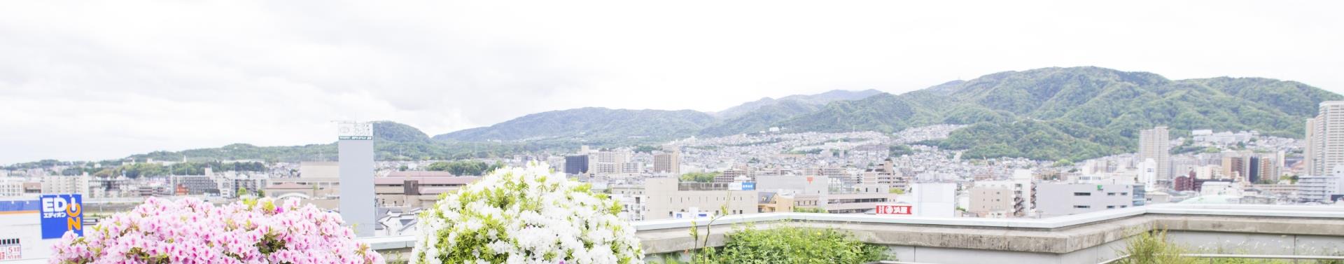 ページタイトル